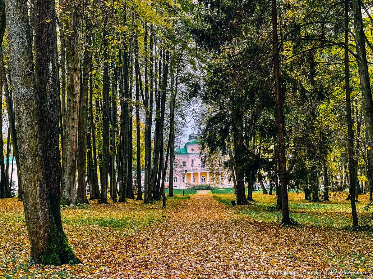 Были руины, потом усадьбу купил московский миллиардер. Показываю как преобразилось это место