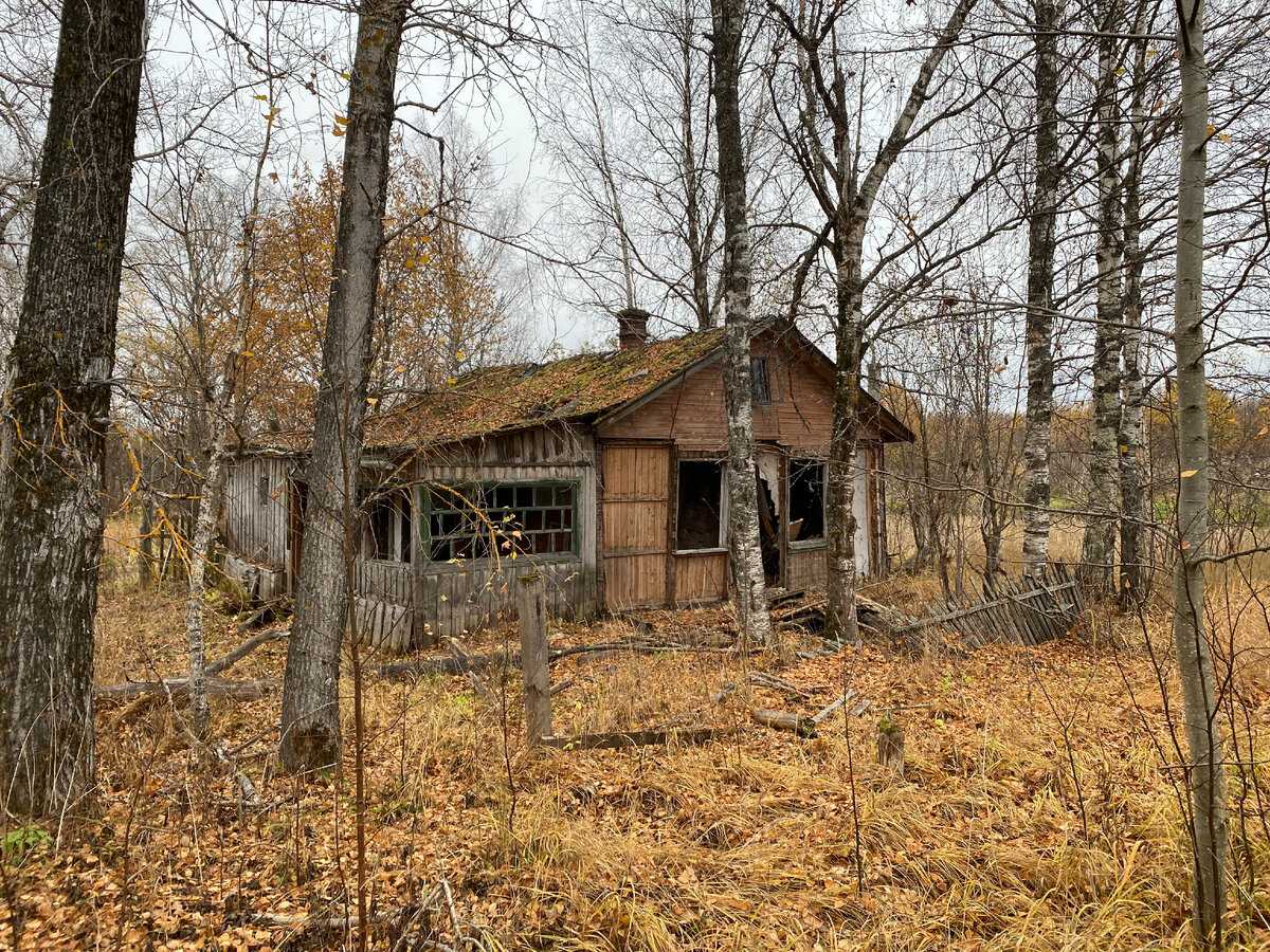 Дома на Центральной улице