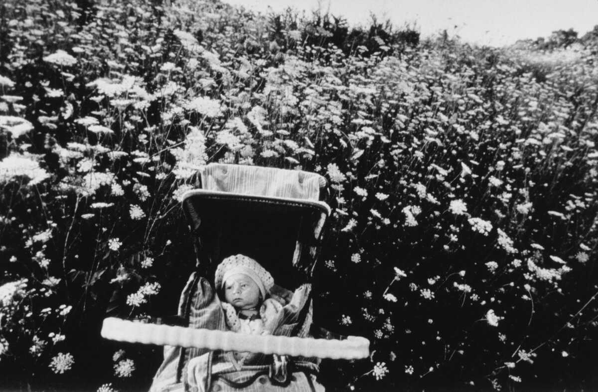  Larry Towell / Magnum Photos