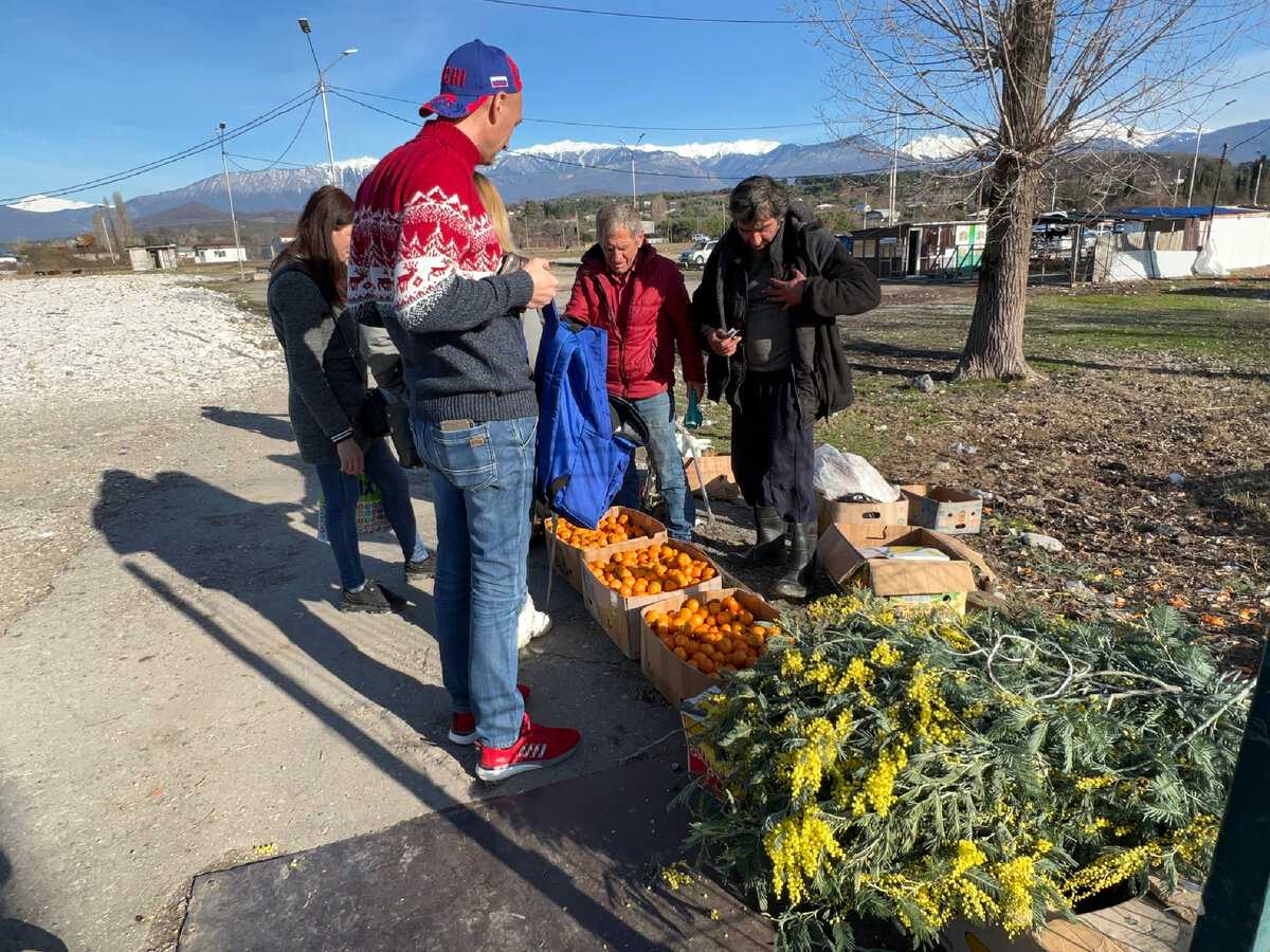 Съездили за мандаринами на границу Россия - Абхазия: Цены сильно отличаются по обе стороны (сравнение цен, фото с мест продажи)