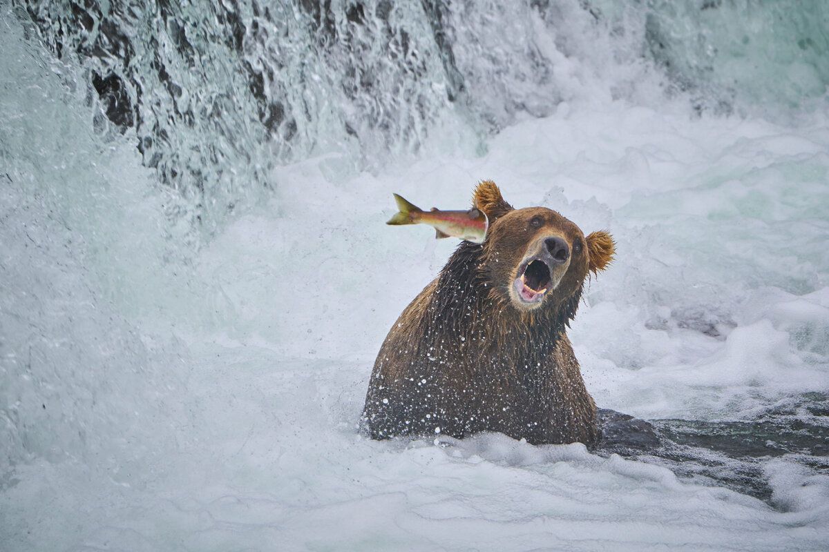 © John Chaney / Comedy Wildlife Photography Awards 2022