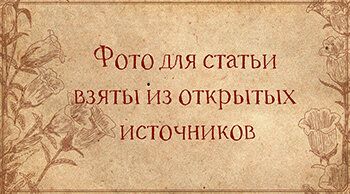 Две простушки как забава для золотой молодежи военной Москвы