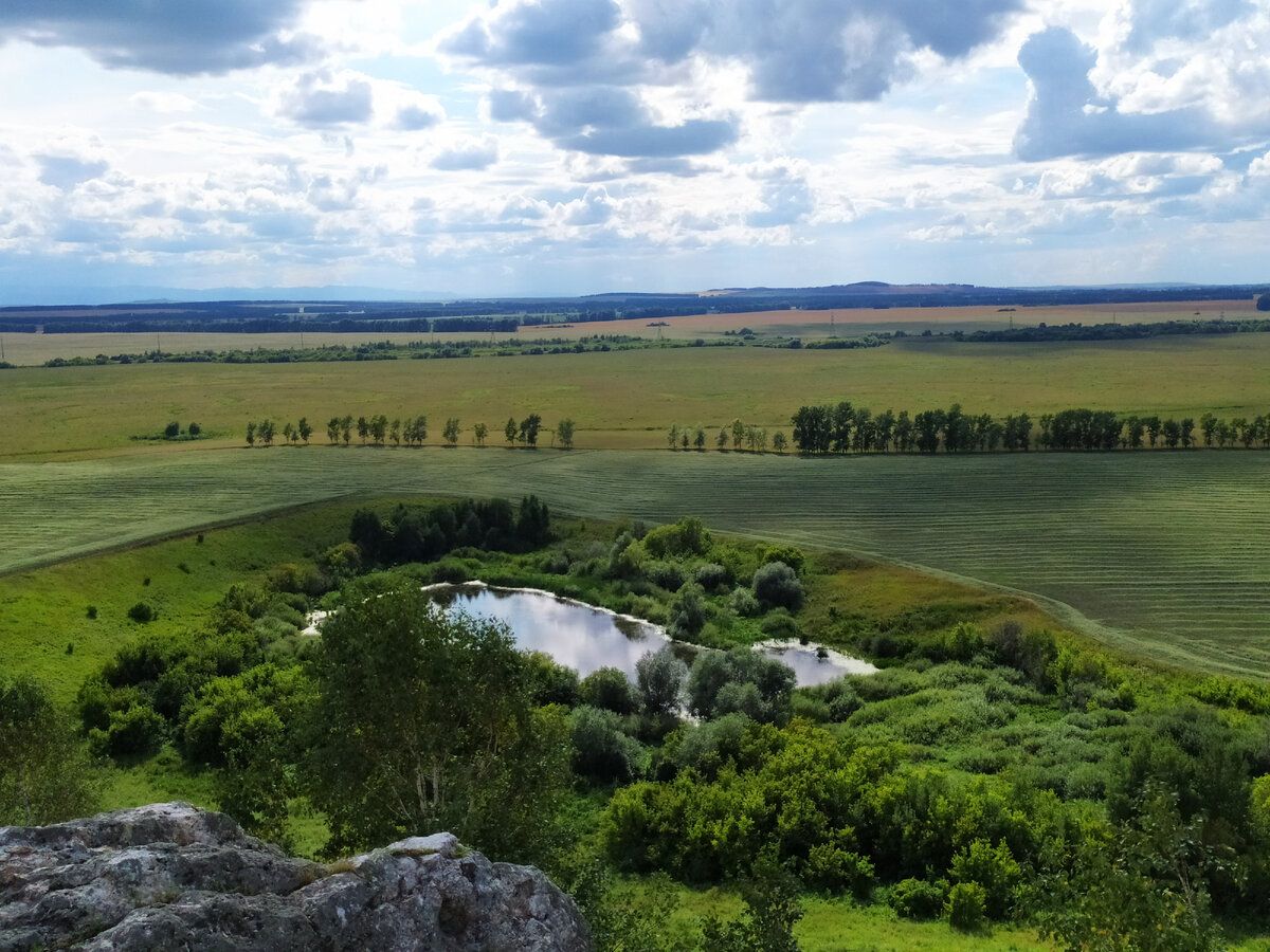 Алтайский край, предгорья, Советский район. Фото автора.