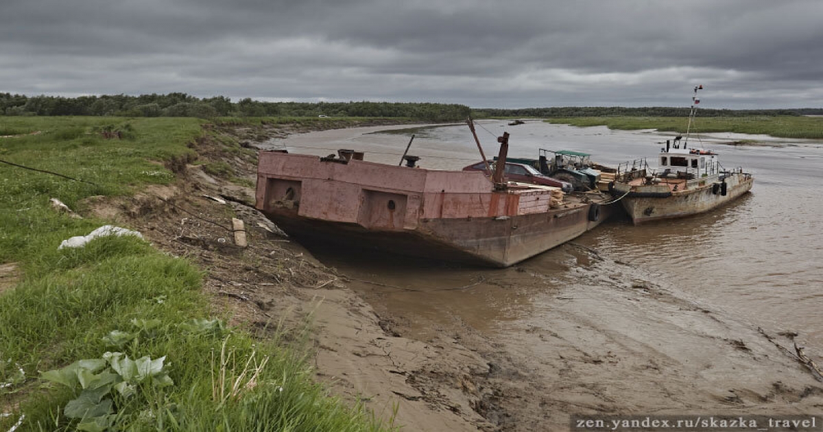 Няша Белого моря красива и коварна. Ни в коем случае не подходите